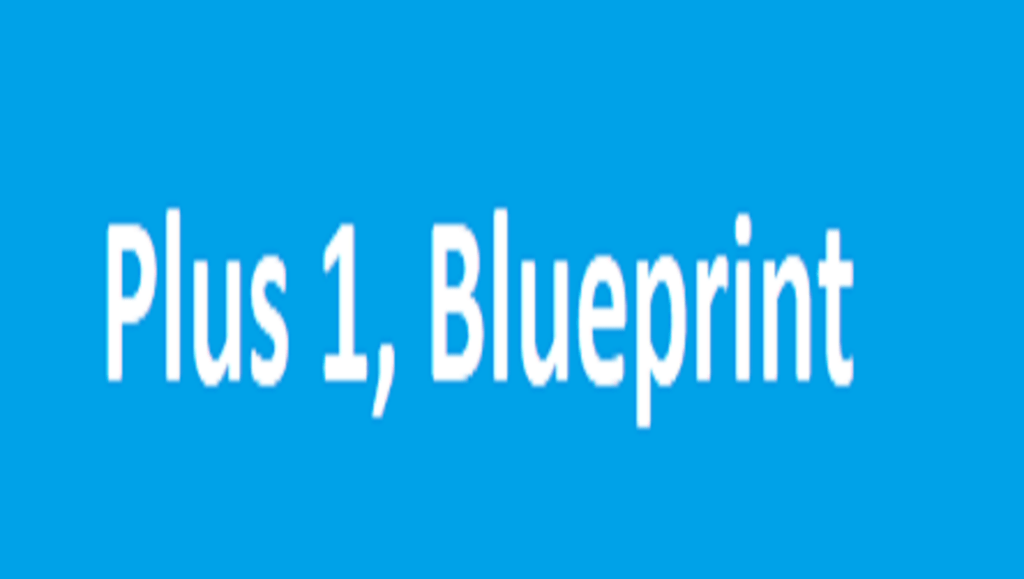 Plus 1, Blueprint 2024, 11th Marking Scheme 2024, +1 Blueprint 2024