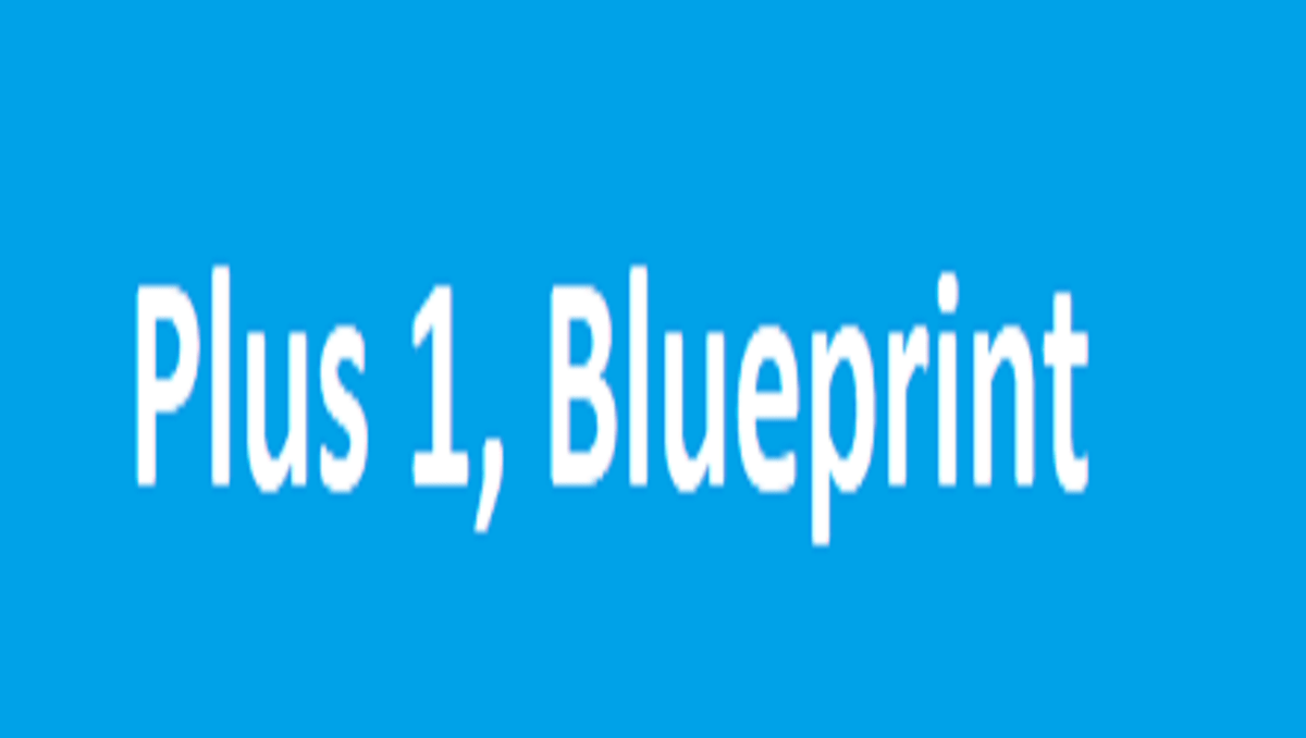 Plus 1 Blueprint 2024 11th Marking Scheme 2024 1 Blueprint 2024 